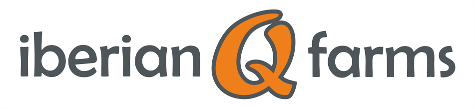 logo main